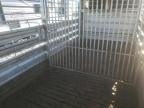 2022 Hors Horsetrail продається в Prairie Grove, AR - All Over