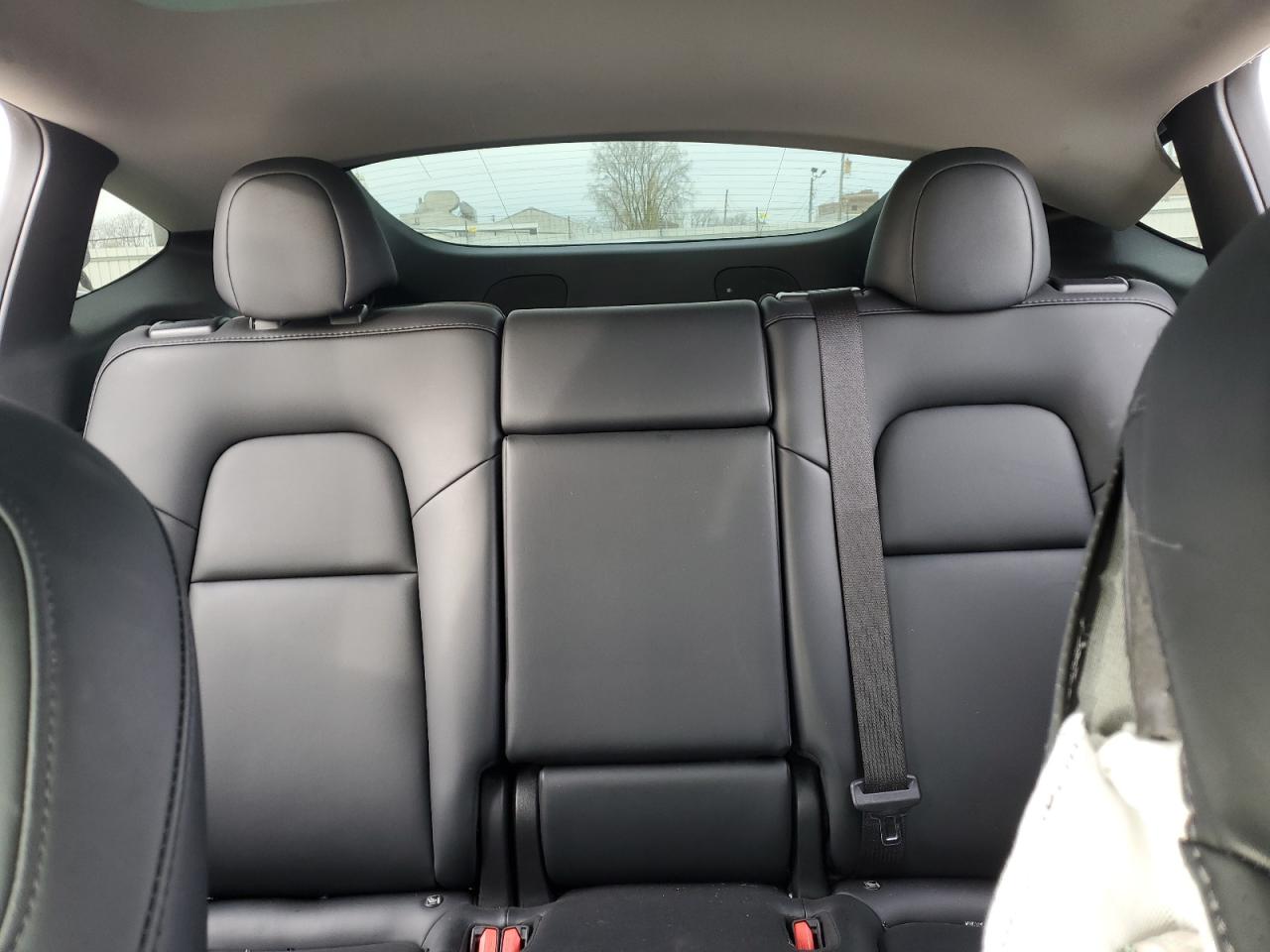 2023 Tesla Model Y VIN: 7SAYGDEE8PA151254 Lot: 80383634