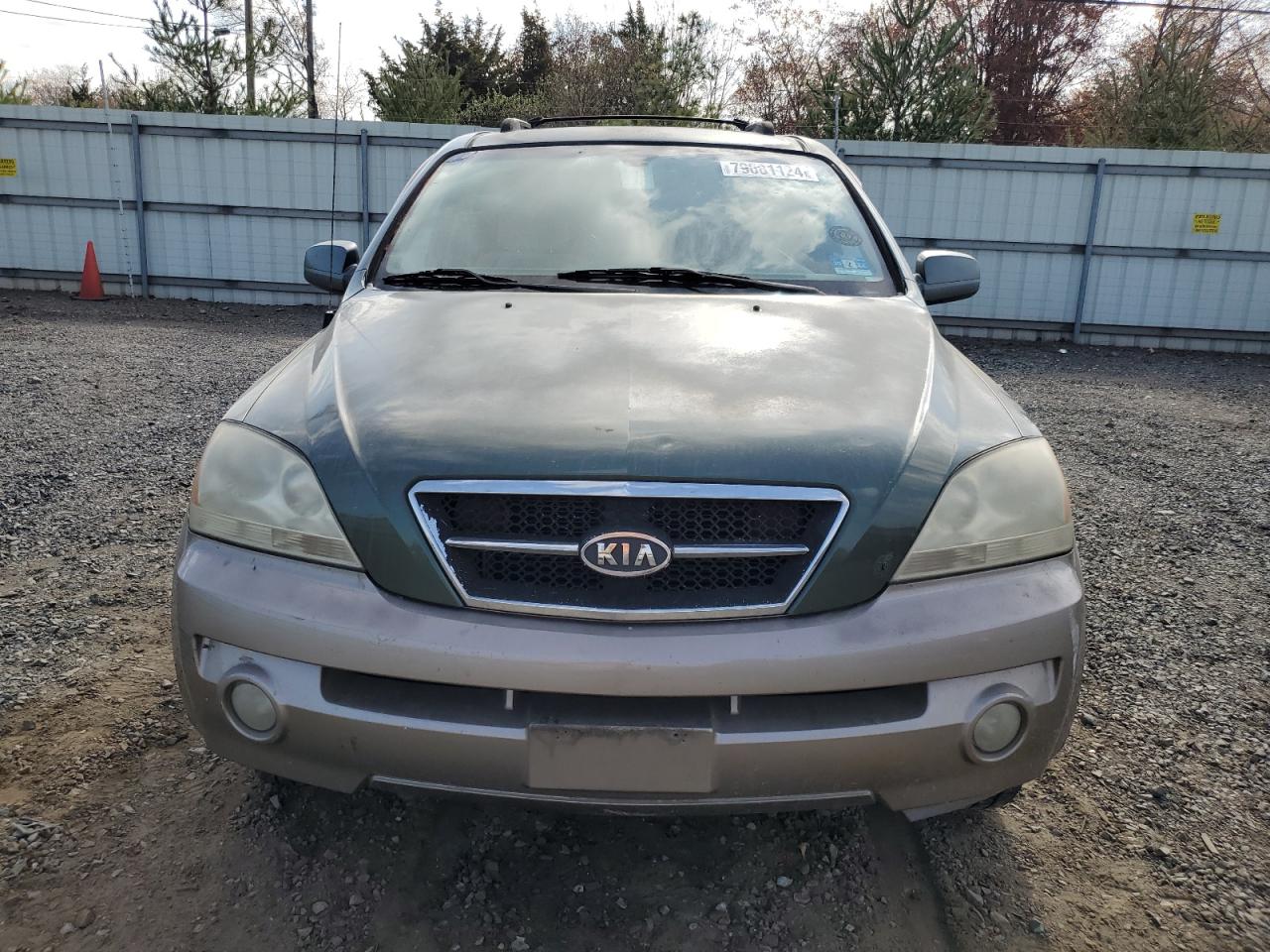 2004 Kia Sorento Ex VIN: KNDJC733545183169 Lot: 79081124