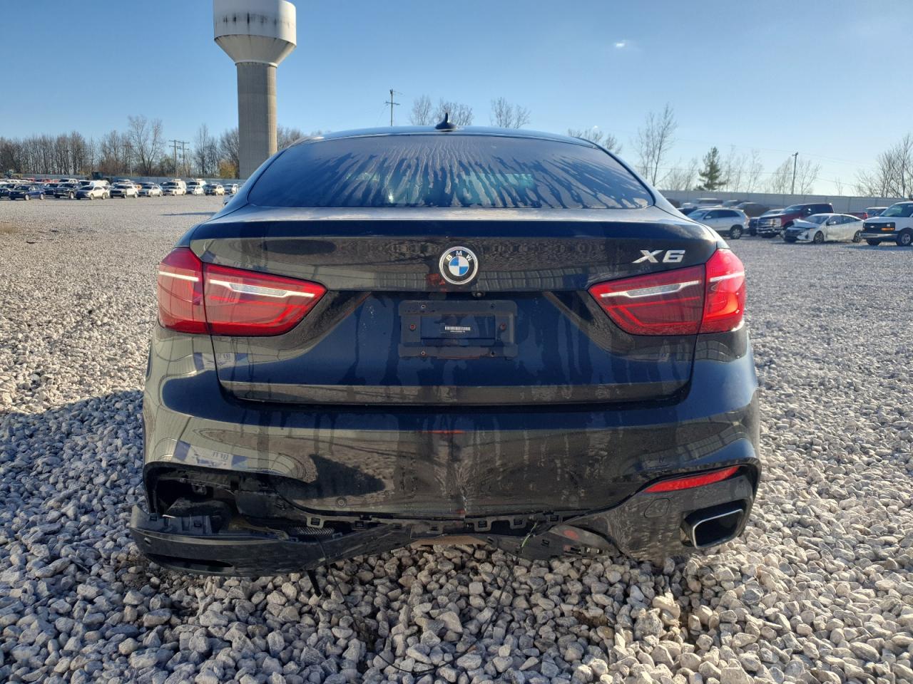 2019 BMW X6 xDrive35I VIN: 5UXKU2C59K0Z64744 Lot: 80060684