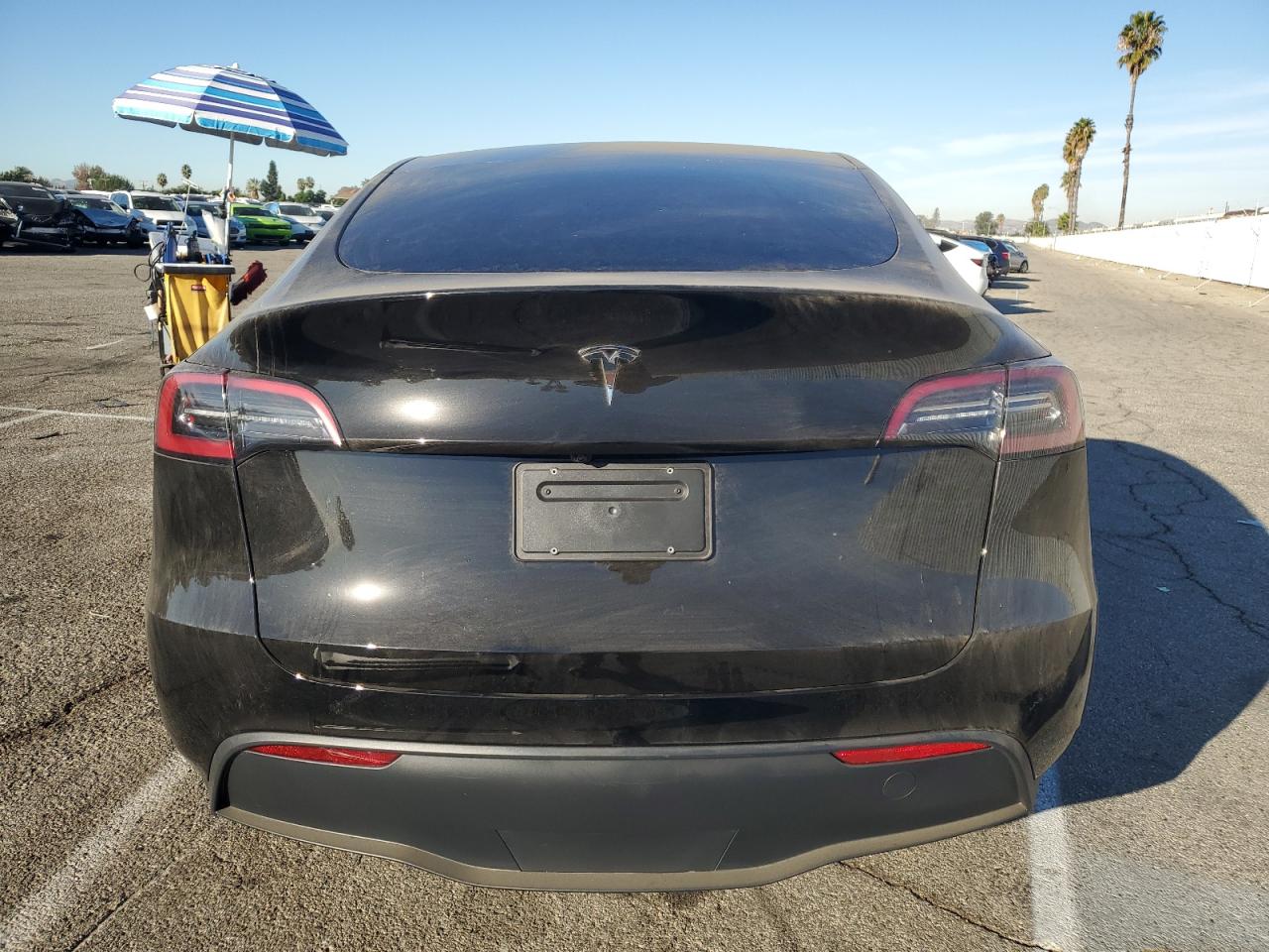 2024 Tesla Model Y VIN: 7SAYGDED8RF120213 Lot: 79415094