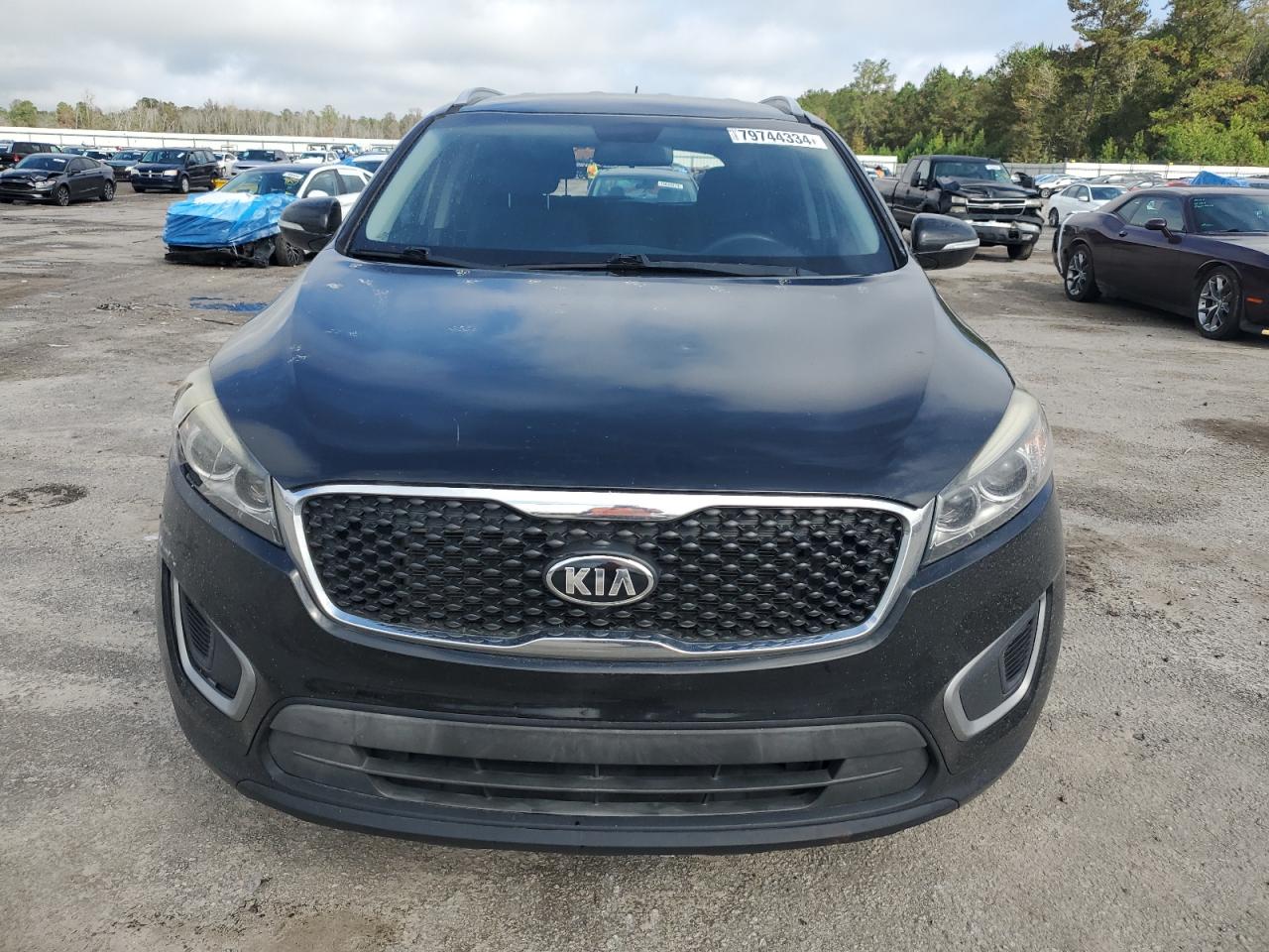 VIN 5XYPG4A38GG151070 2016 KIA SORENTO no.5