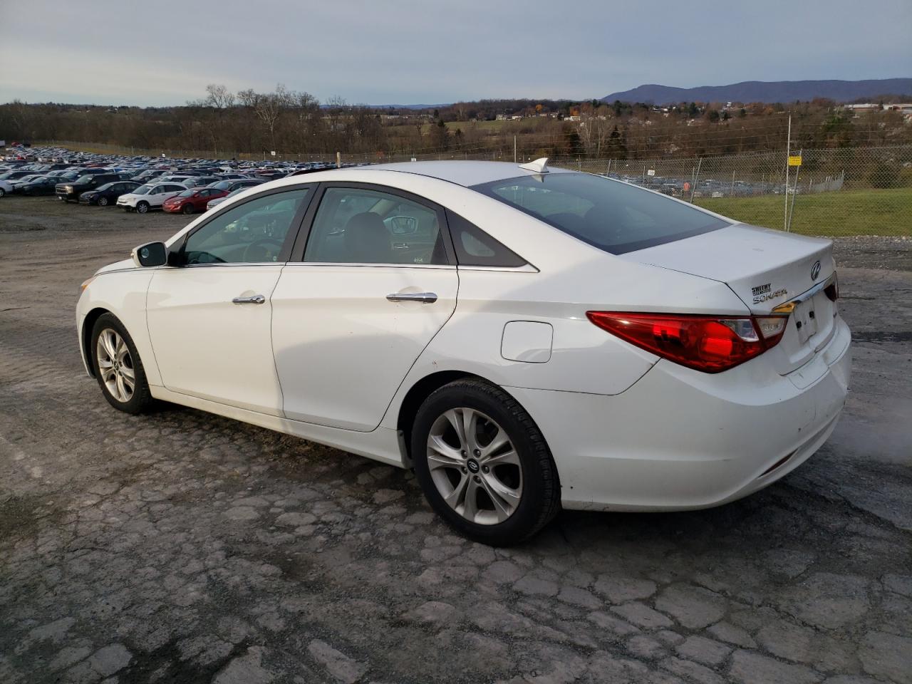 2013 Hyundai Sonata - Image 2