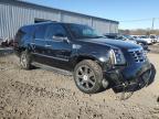 2008 Cadillac Escalade Esv იყიდება Windsor-ში, NJ - Front End