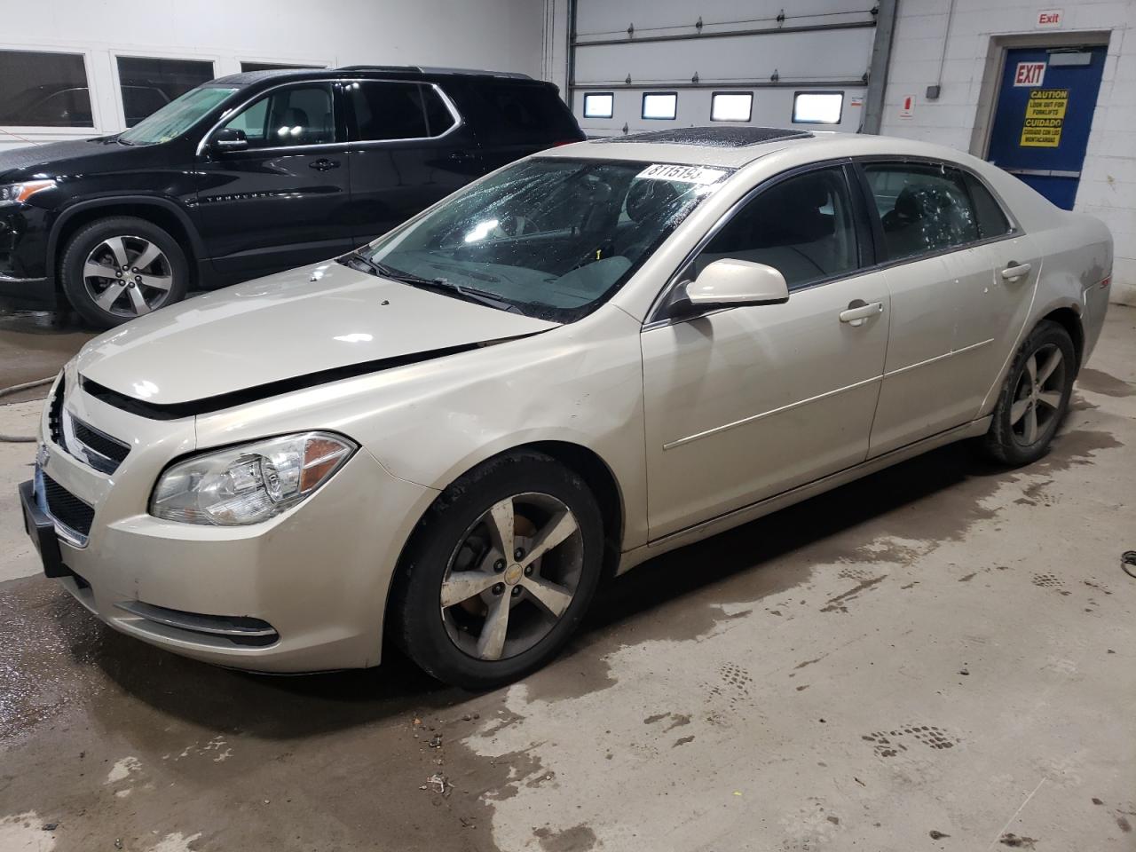 2011 Chevrolet Malibu 1Lt VIN: 1G1ZC5E19BF255039 Lot: 81151934