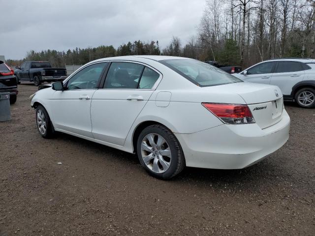 2010 HONDA ACCORD EX