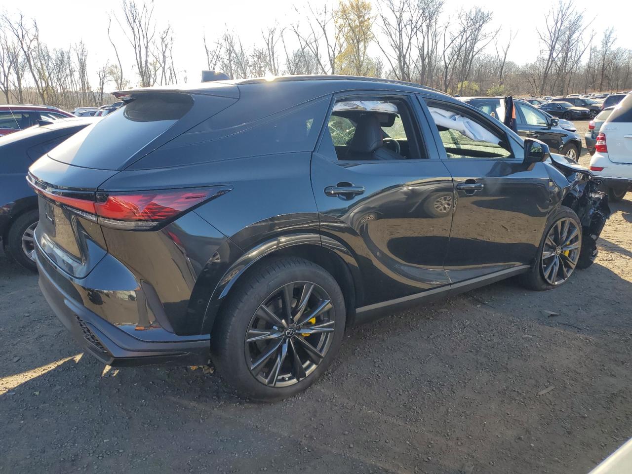 2024 Lexus RX - Image 3