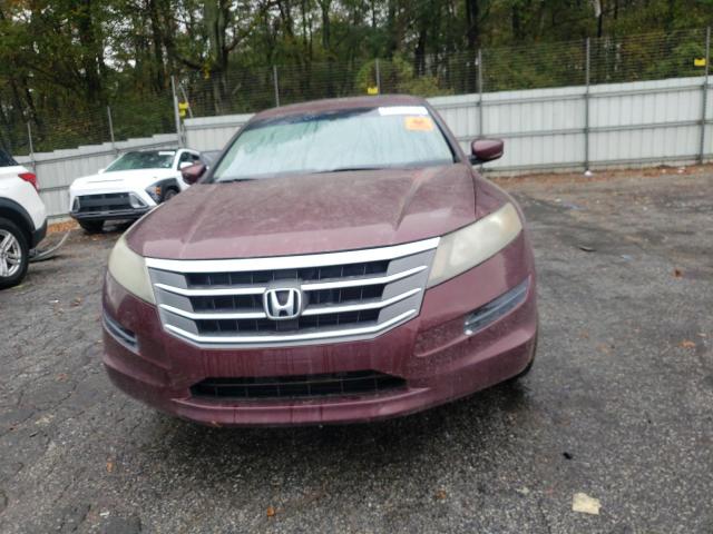 Паркетники HONDA CROSSTOUR 2012 Бордовый