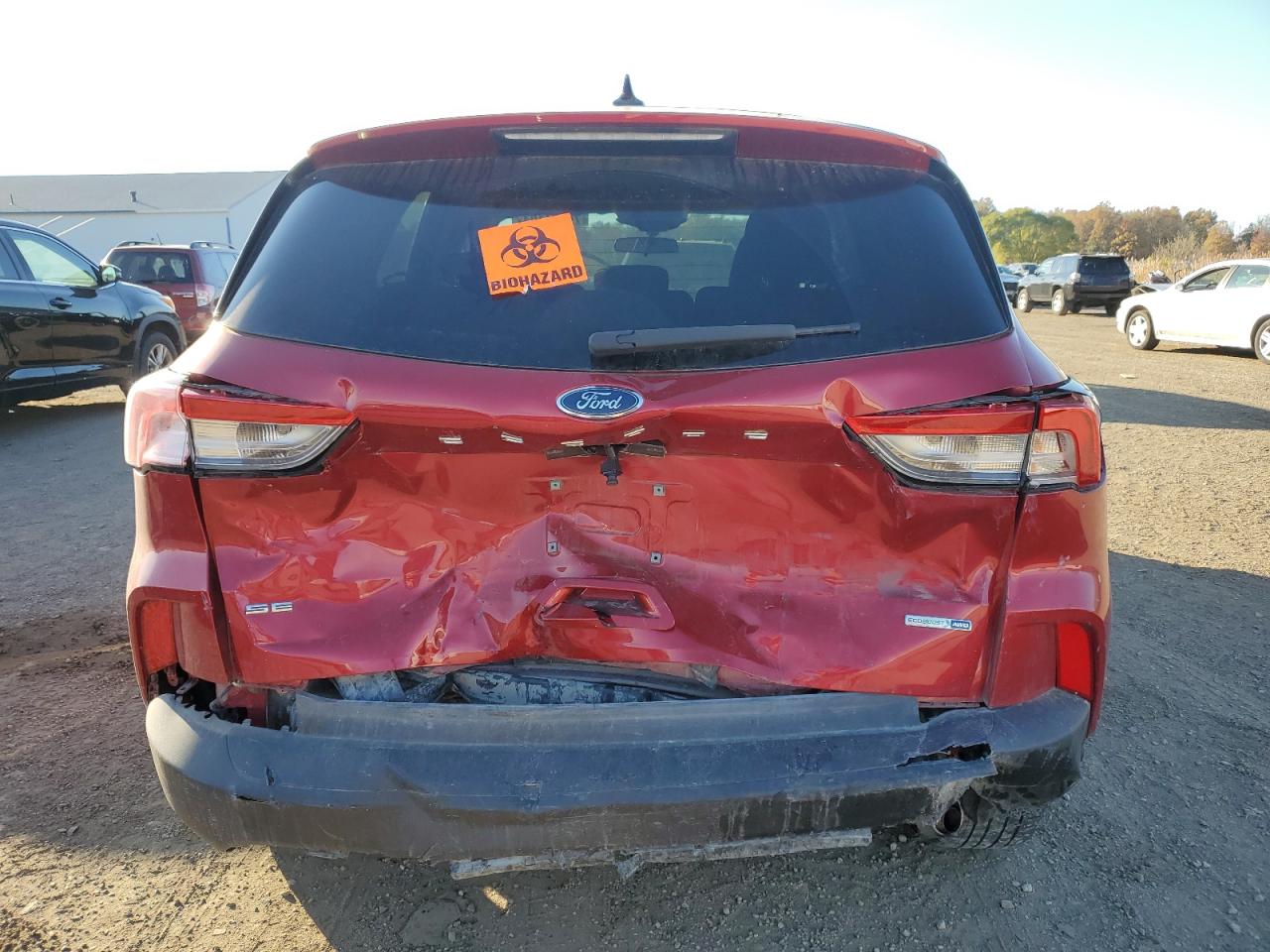 2020 Ford Escape - Image 6