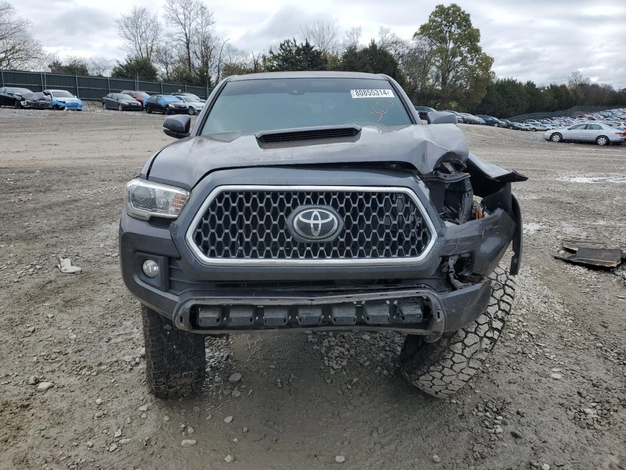 2019 Toyota Tacoma - Image 5