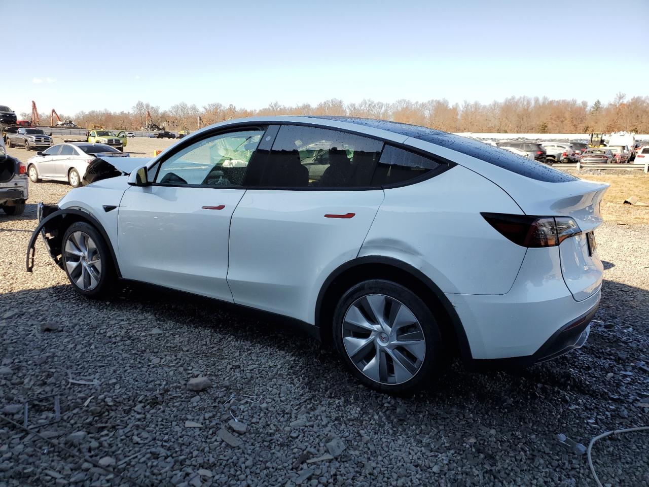 VIN 7SAYGDEE2PA095375 2023 TESLA MODEL Y no.2