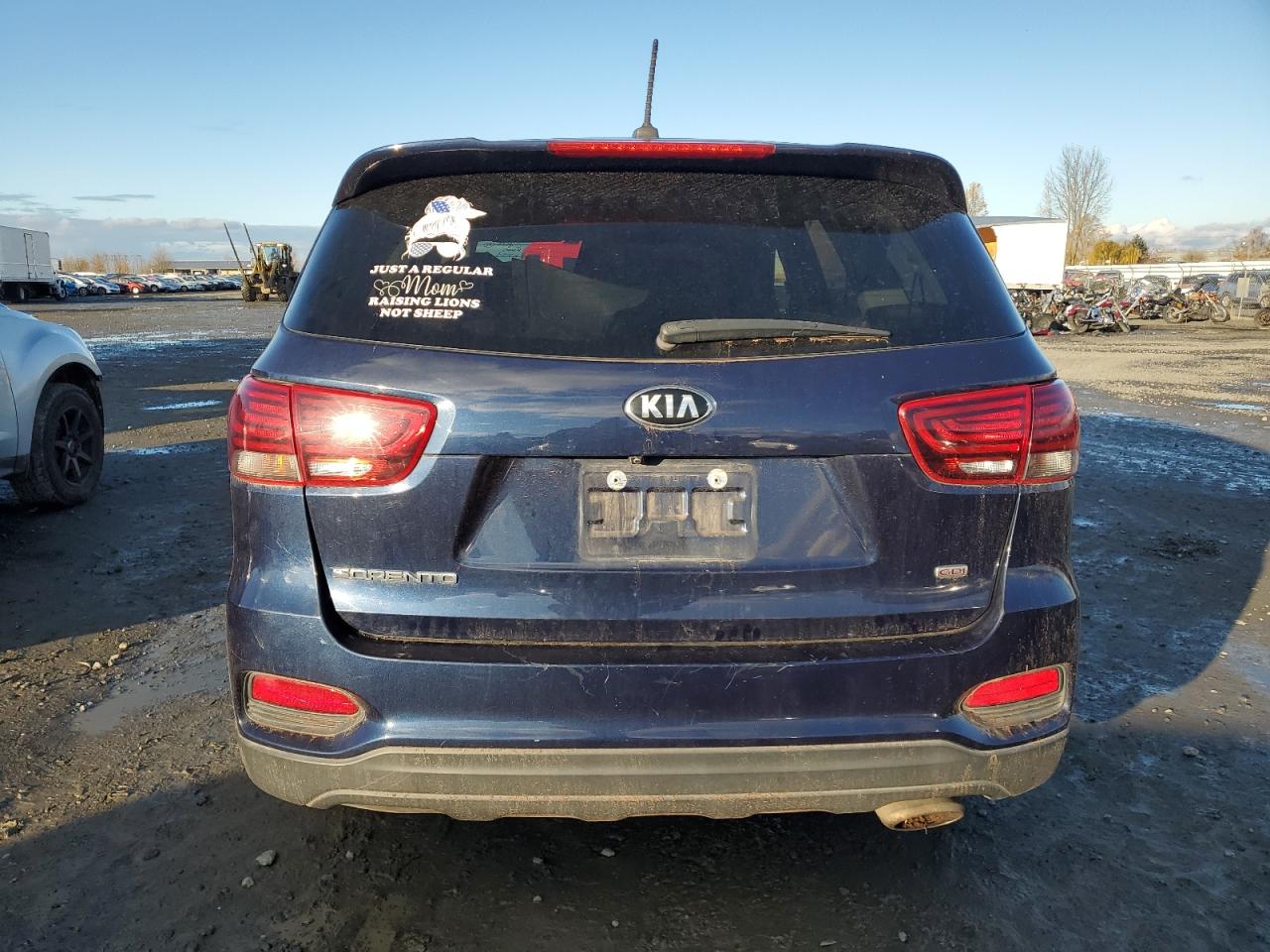 2019 Kia Sorento L VIN: 5XYPGDA34KG463055 Lot: 80536744