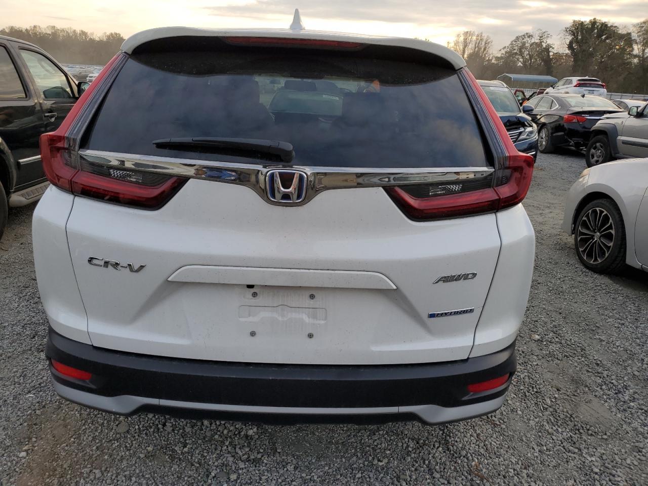 2022 Honda Cr-V Exl VIN: 5J6RT6H81NL037683 Lot: 79343854