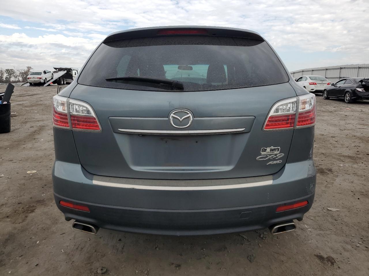 2010 Mazda Cx-9 VIN: JM3TB3MV3A0230039 Lot: 76236324