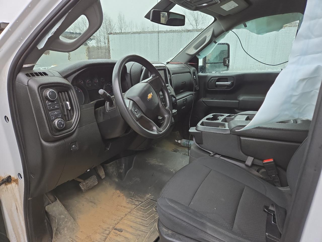 2020 Chevrolet Silverado K1500 VIN: 1GCUYAEFXLZ144989 Lot: 79499894