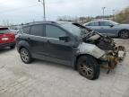 2018 Ford Escape Se продається в Indianapolis, IN - Burn