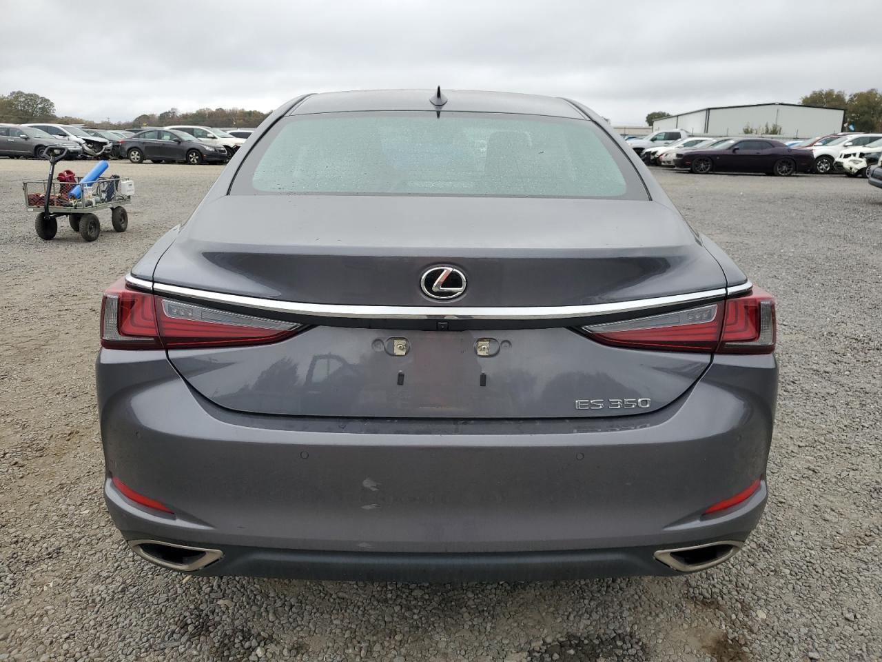 2020 Lexus Es 350 VIN: 58ADZ1B14LU080360 Lot: 79312634