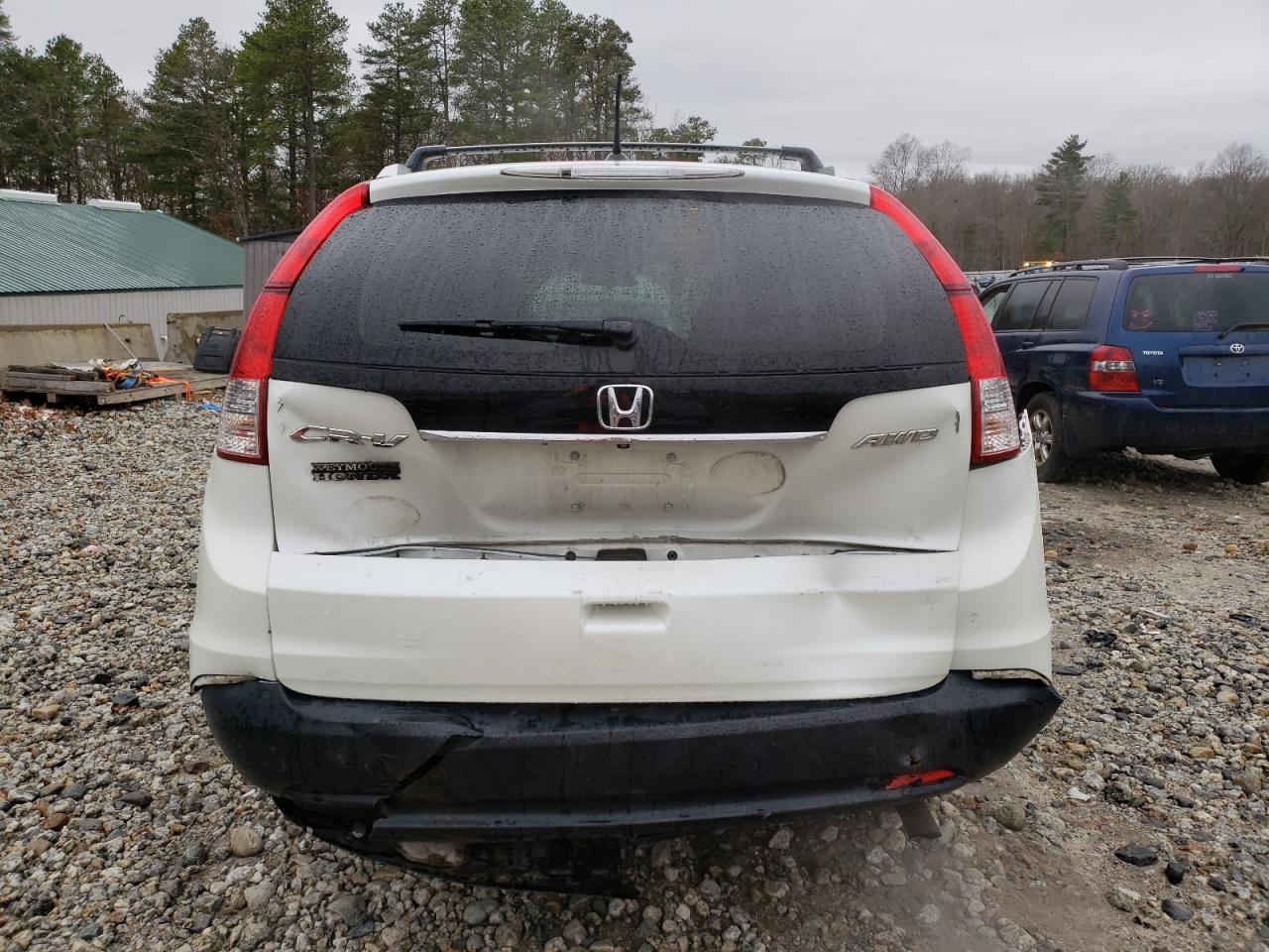 2014 Honda Cr-V Exl VIN: 5J6RM4H71EL007981 Lot: 81874954