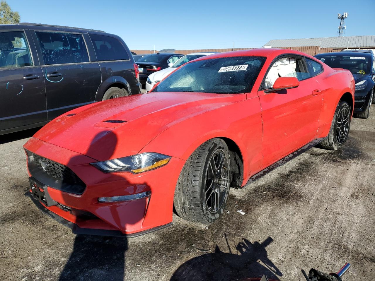 2021 Ford Mustang - Image 1