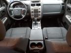 2012 Ford Escape Xlt for Sale in Greenwood, NE - Mechanical
