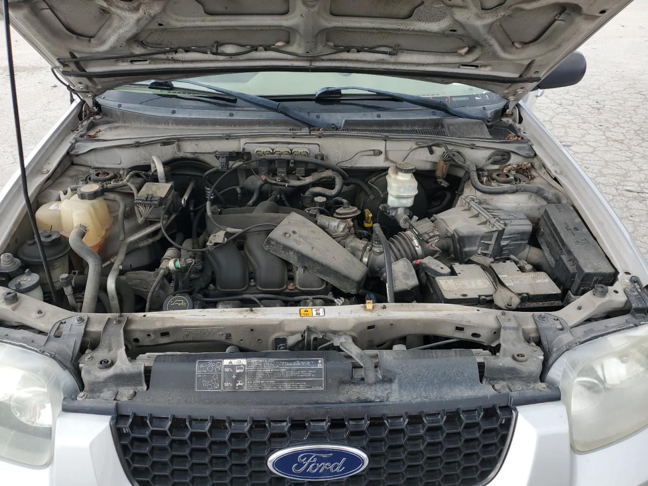 2006 Ford Escape Limited VIN: 1FMCU04186KA72383 Lot: 79278504