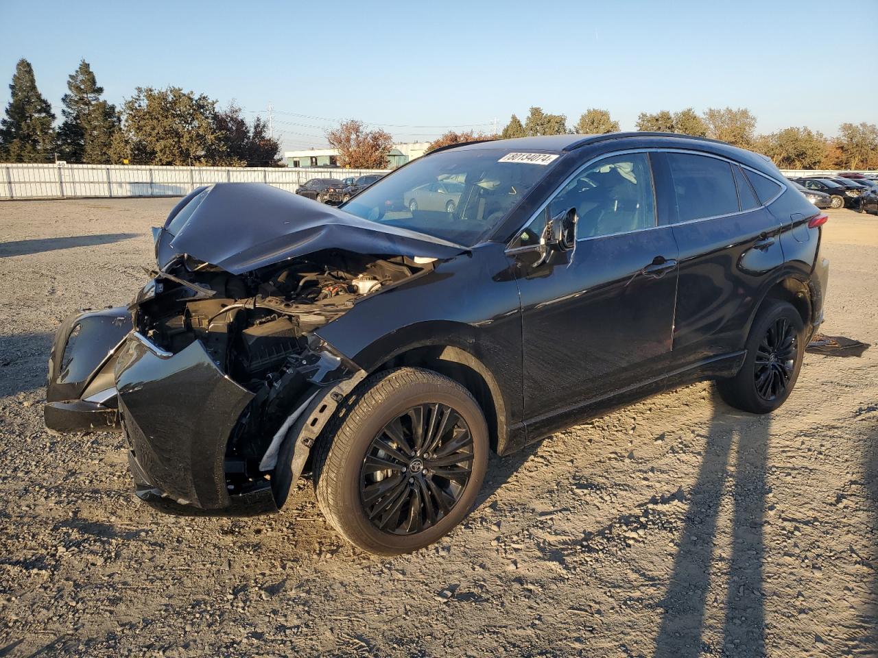 2023 TOYOTA VENZA