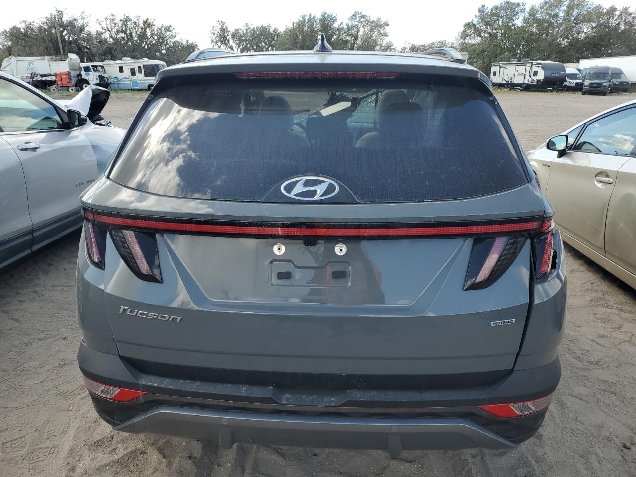 2024 Hyundai Tucson Limited VIN: 5NMJECDE7RH348016 Lot: 80497704