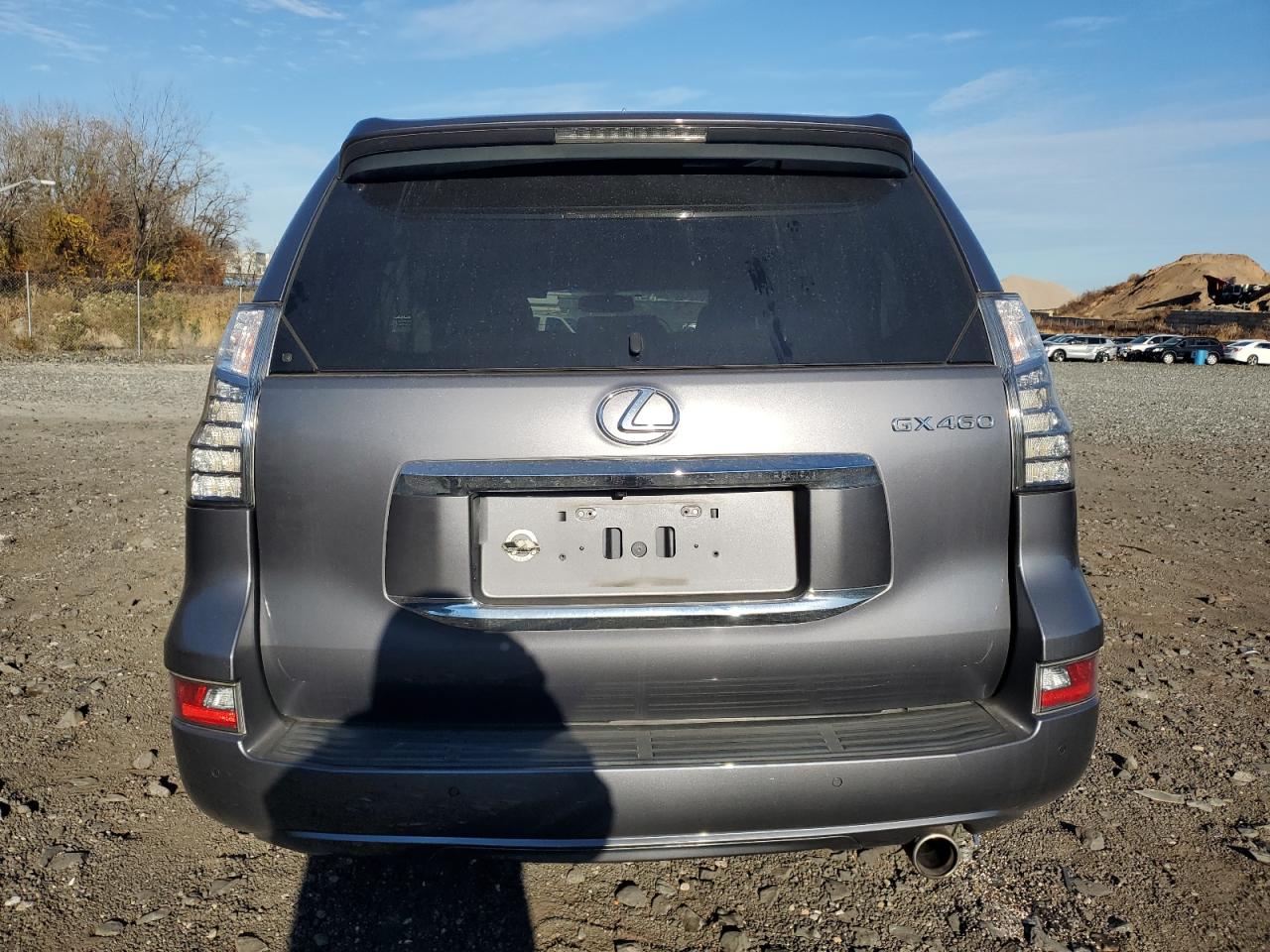 2018 Lexus Gx 460 VIN: JTJBM7FX6J5193167 Lot: 81573674