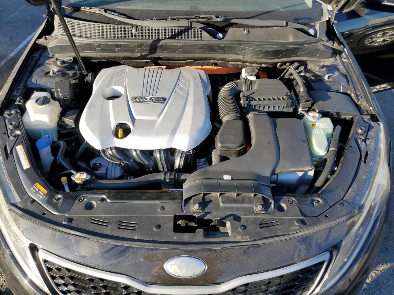 2013 Kia Optima Hybrid VIN: KNAGM4AD9D5042409 Lot: 80155274