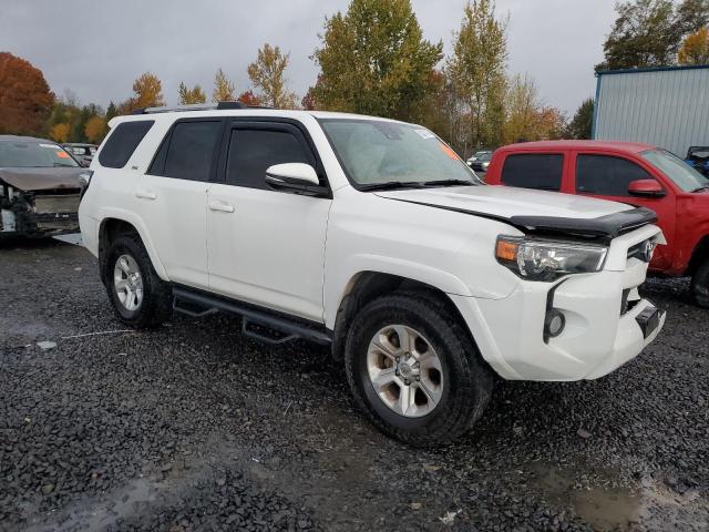  TOYOTA 4RUNNER 2020 Biały