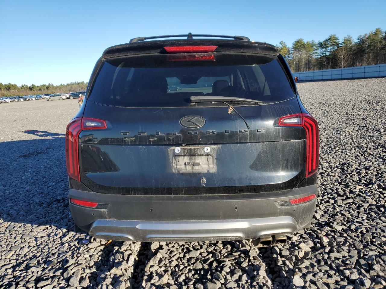 2021 Kia Telluride Sx VIN: 5XYP5DHC6MG191834 Lot: 82283014