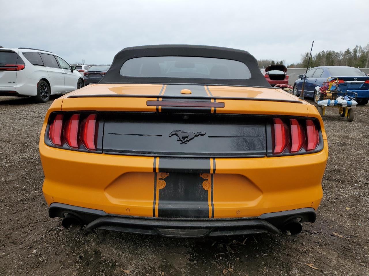 2019 Ford Mustang VIN: 1FATP8UH0K5183886 Lot: 76945124