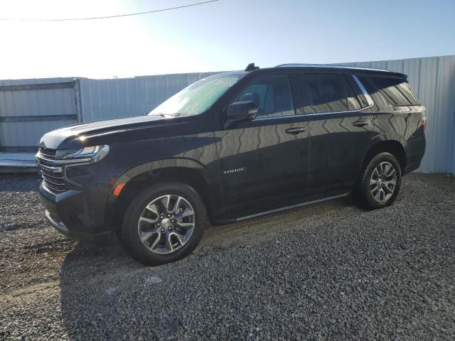  CHEVROLET TAHOE 2024 Black