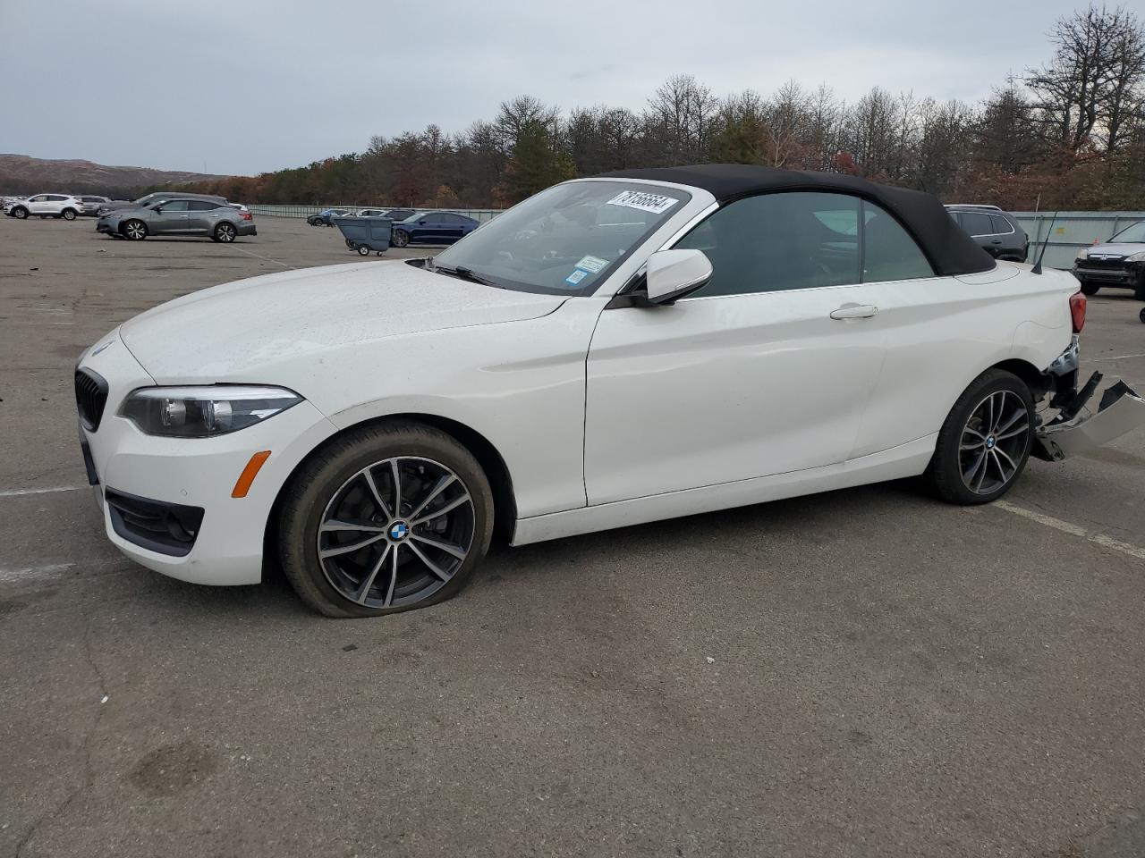 2020 BMW 230Xi VIN: WBA2K1C08L7F93803 Lot: 78156664