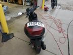 2023 Genuine Scooter Co. Buddy 50 de vânzare în Wayland, MI - All Over