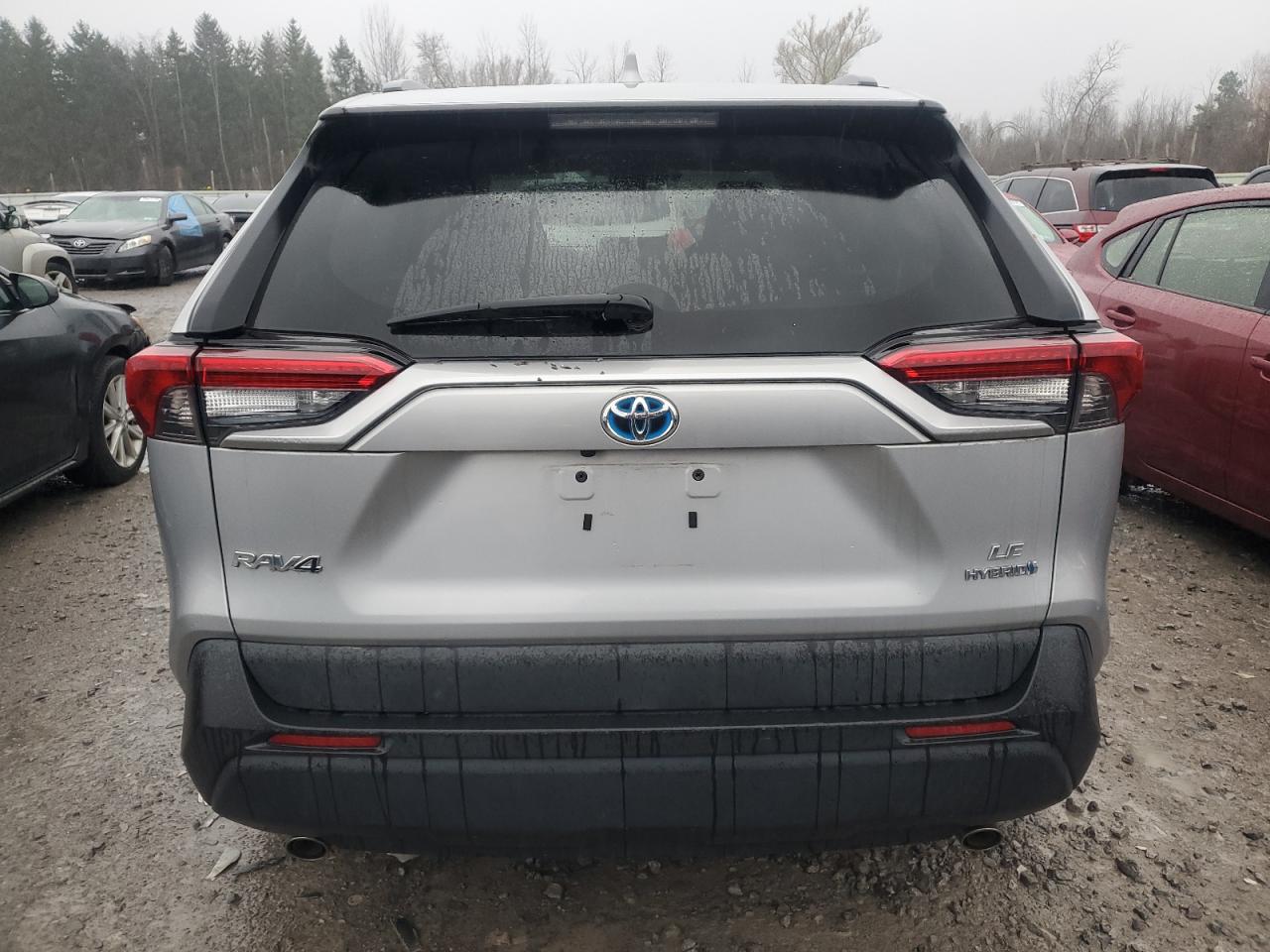 2019 Toyota Rav4 Le VIN: 2T3MWRFVXKW006300 Lot: 79989304