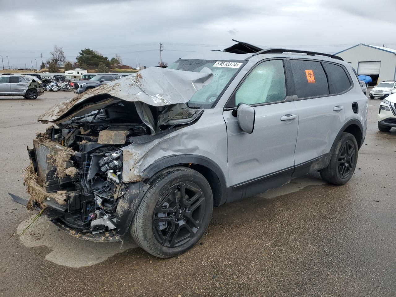 2024 Kia Telluride - Image 1