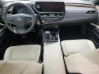 2023 Lexus Es 300H Base zu verkaufen in Houston, TX - Water/Flood