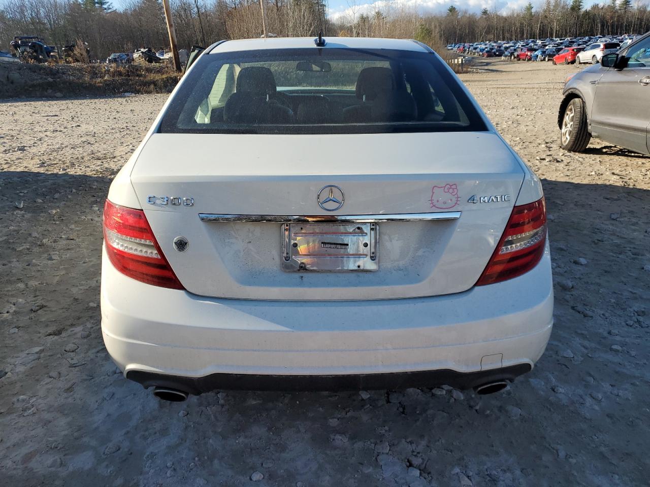 2012 Mercedes-Benz C 300 4Matic VIN: WDDGF8BBXCR195105 Lot: 79910704