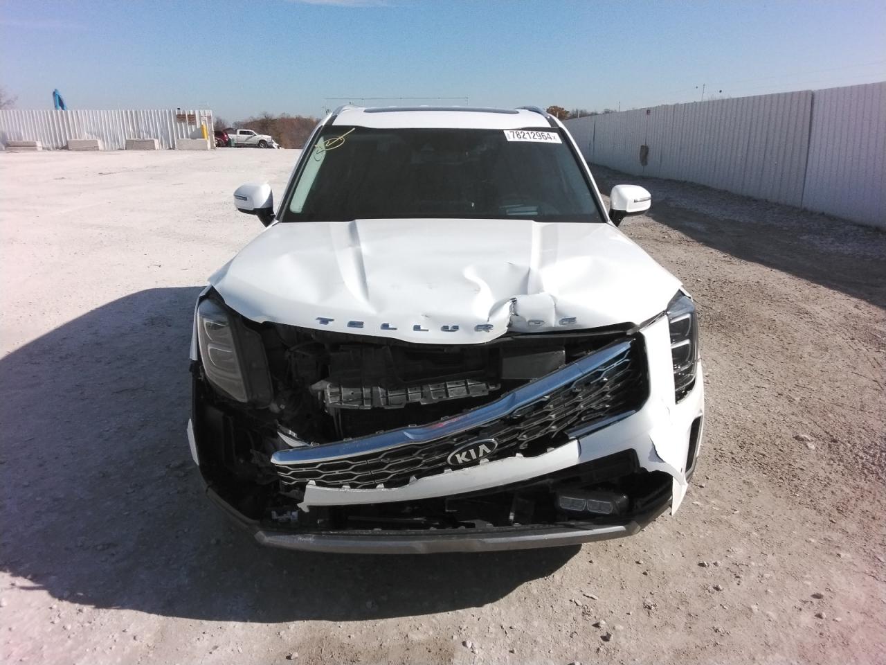 2020 Kia Telluride Sx VIN: 5XYP5DHC9LG014810 Lot: 78212964