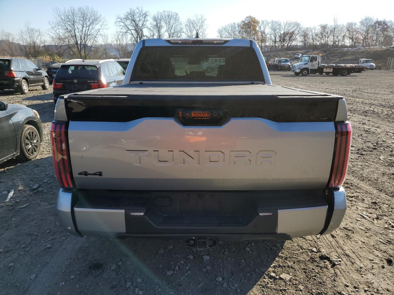 2023 Toyota Tundra Crewmax Platinum VIN: 5TFNA5DB8PX066972 Lot: 81375804