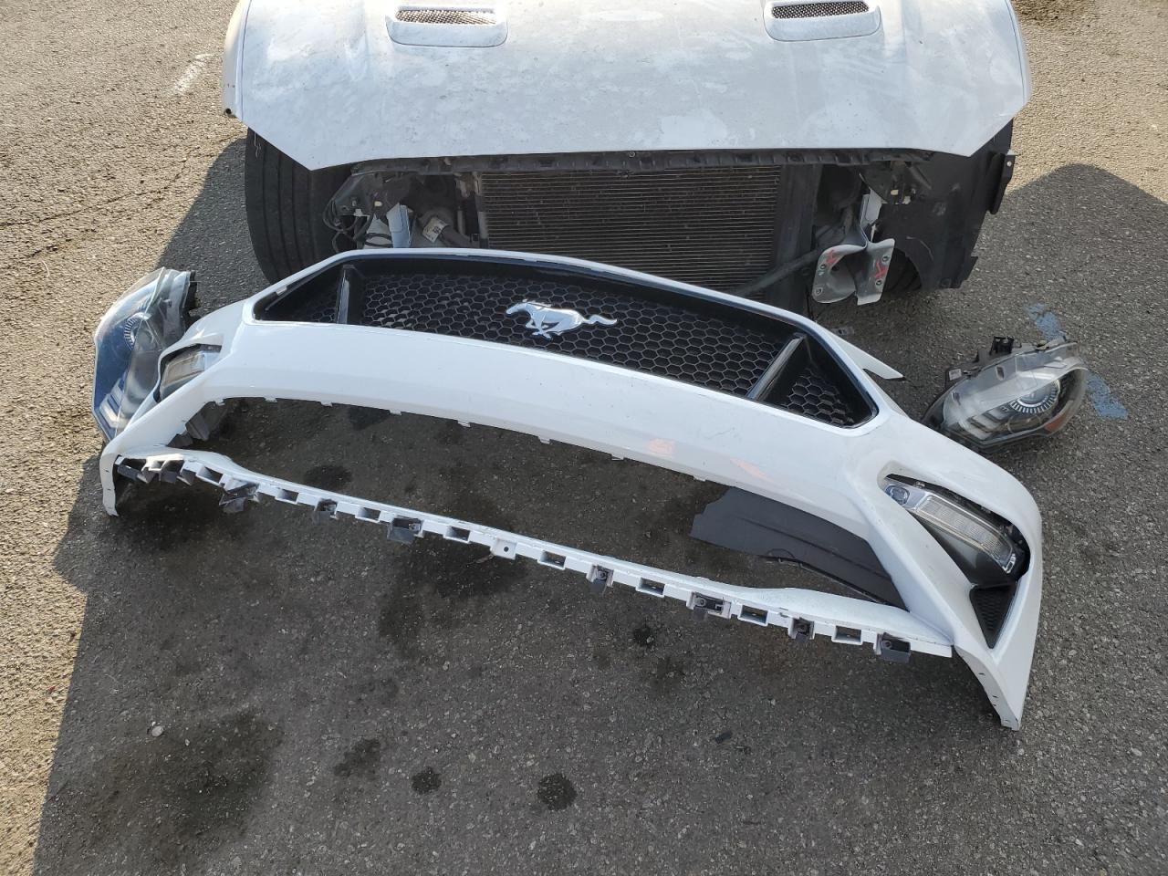 2019 Ford Mustang - Image 14