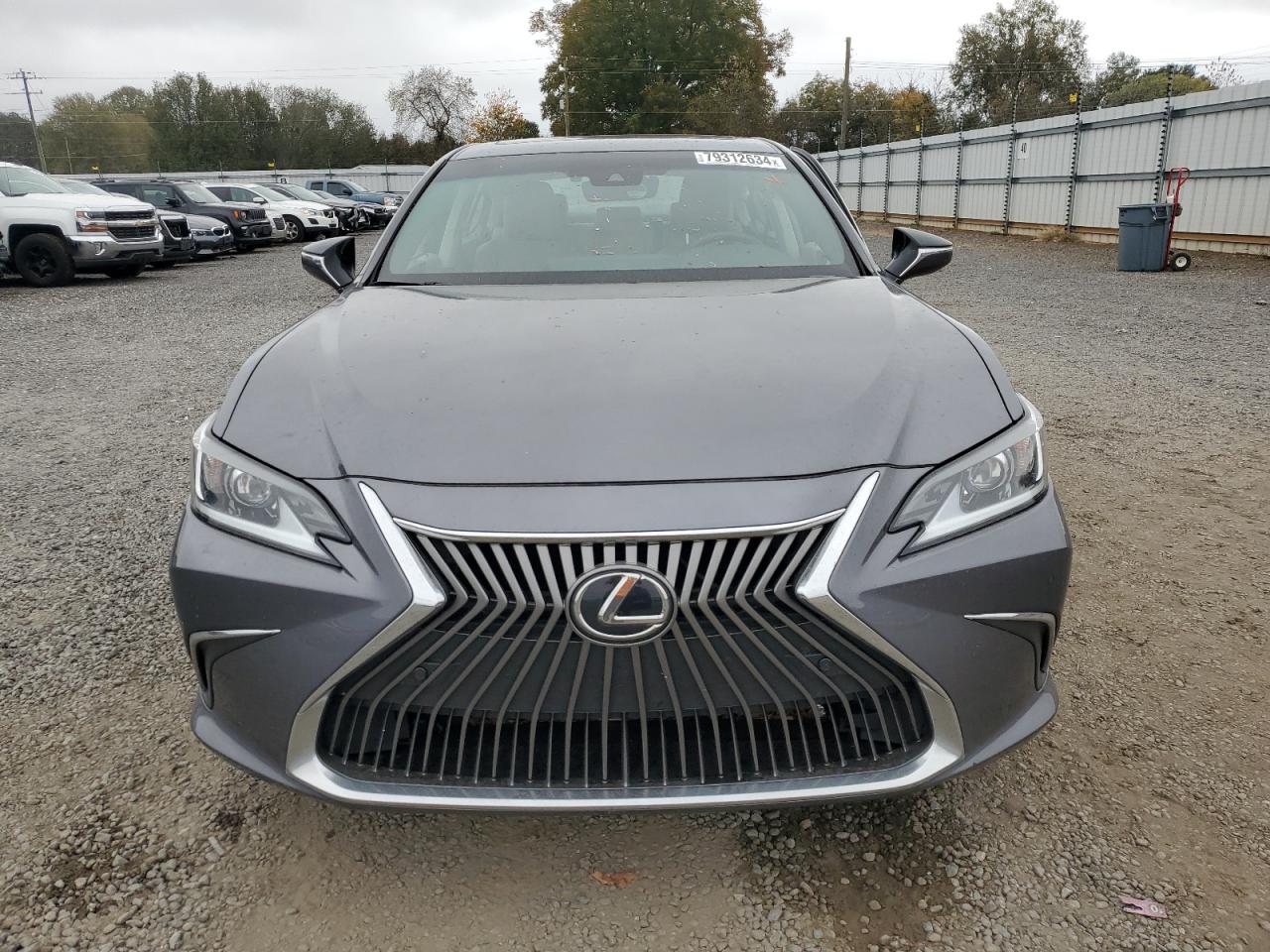 2020 Lexus Es 350 VIN: 58ADZ1B14LU080360 Lot: 79312634