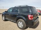 Adelanto, CA에서 판매 중인 2010 Ford Escape Xlt - Front End