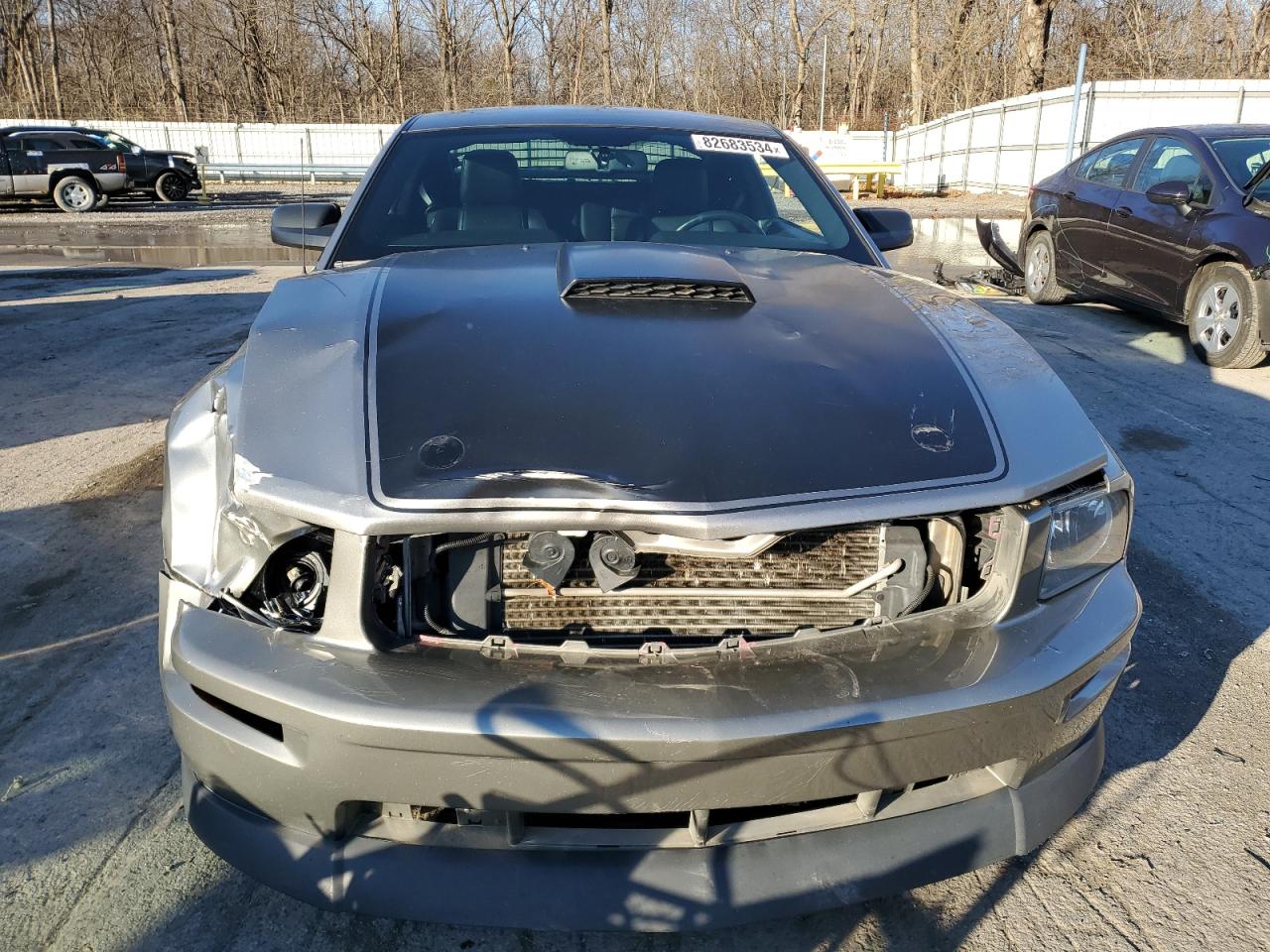 2009 Ford Mustang - Image 5