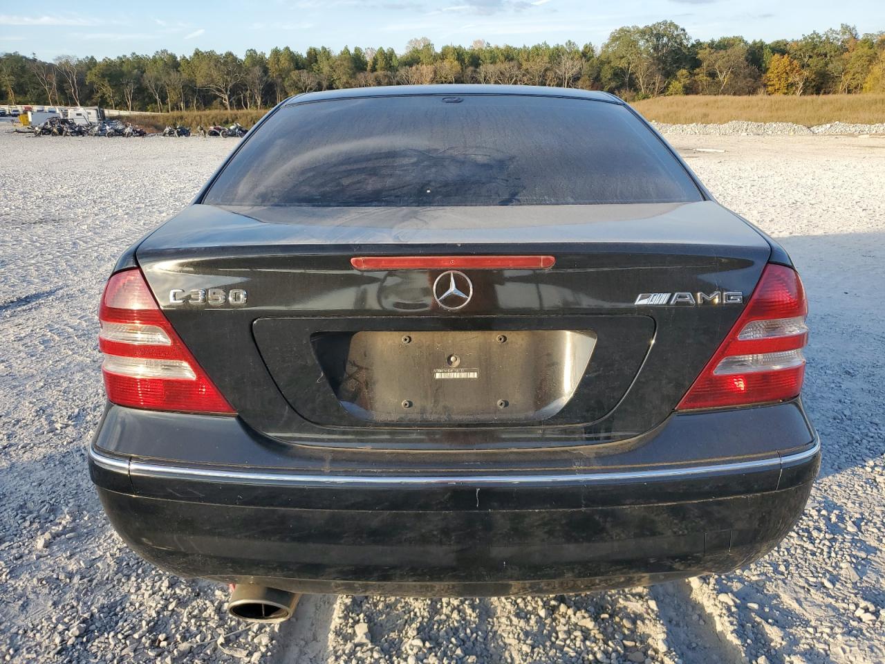 2006 Mercedes-Benz C 350 VIN: WDBRF56H26F750133 Lot: 79433044