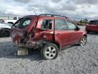 2010 Subaru Forester Xs en Venta en Reno, NV - Rear End