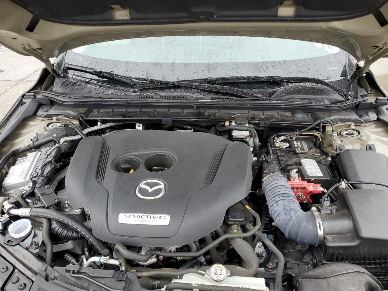 VIN 3MZBPBXY0RM405097 2024 MAZDA 3 CARBON T no.11