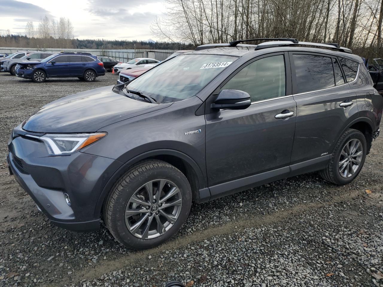 2018 Toyota Rav4 Hv Limited VIN: JTMDJREV1JD173754 Lot: 81763514