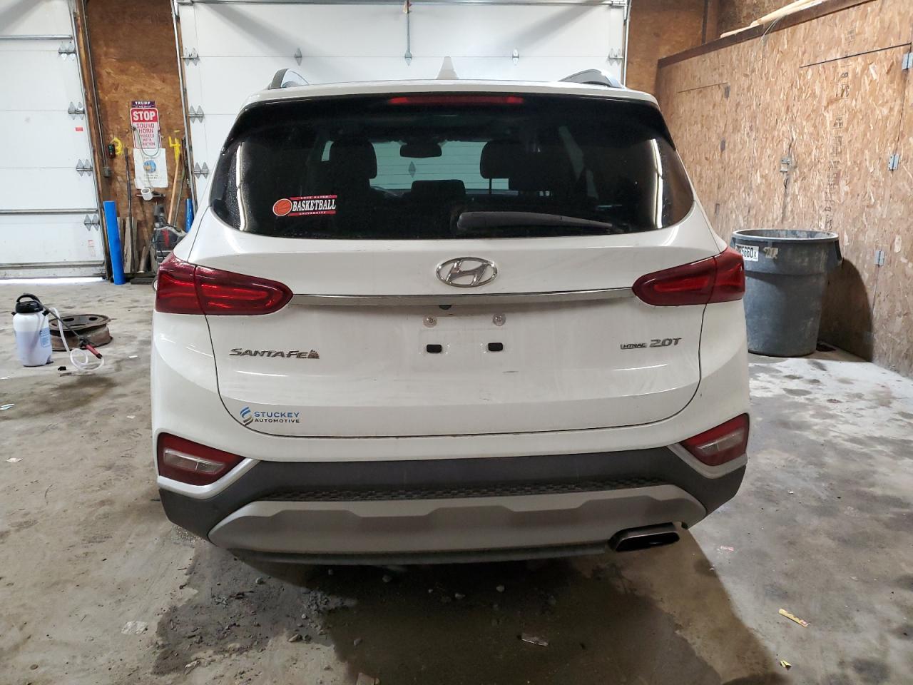 2020 Hyundai Santa Fe Sel VIN: 5NMS3CAA6LH216027 Lot: 81253764